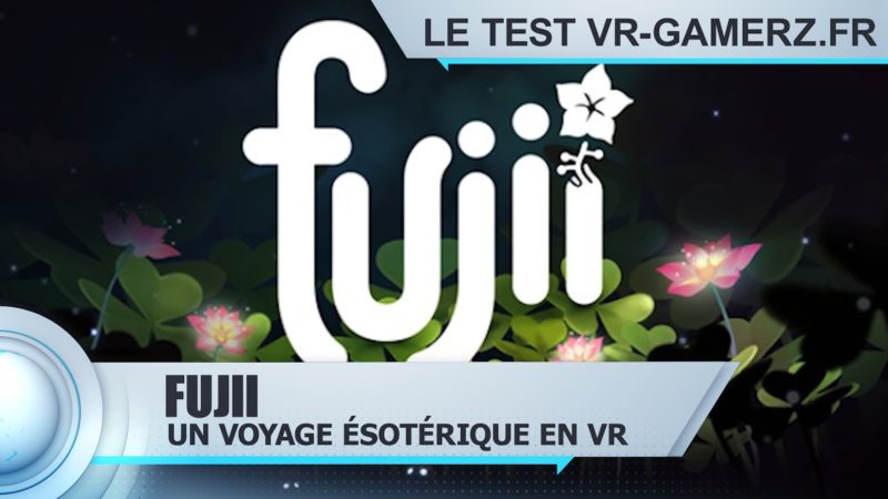 fujii oculus quest test vr-gamerz.fr