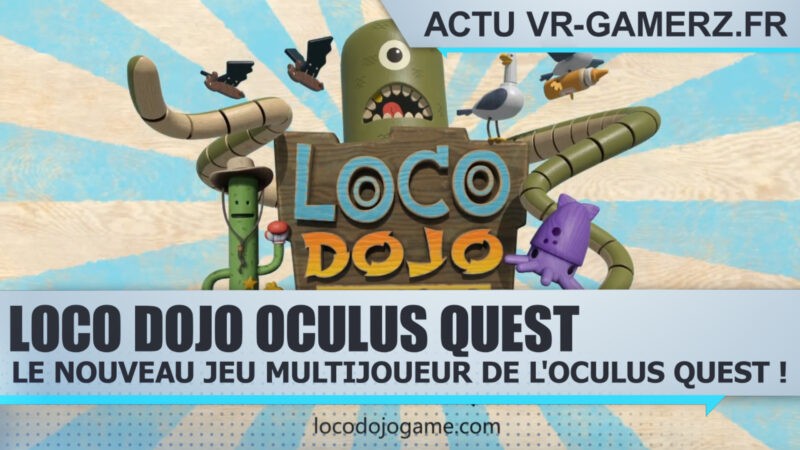 Loco Dojo sur Oculus quest : Le nouveau jeu multijoueur de l'Oculus quest !